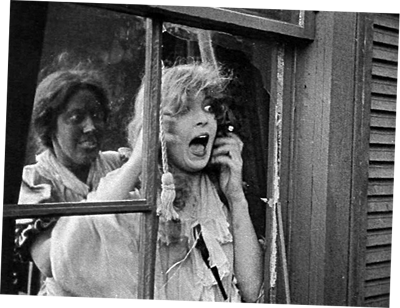 Lillian Gish, The Birth of a Nation